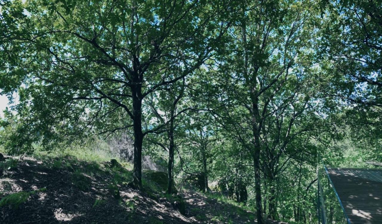 Oak Nature Вієйра-ду-Міню Екстер'єр фото